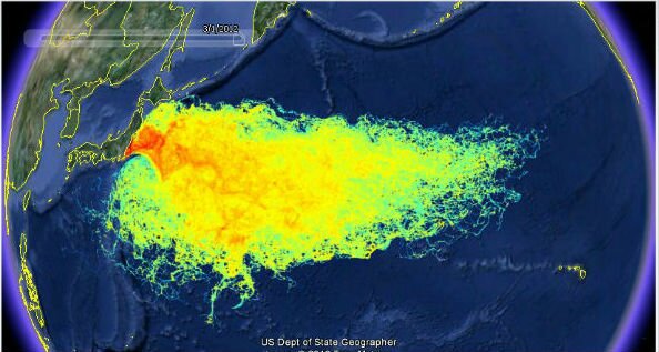 officials-fukushima-has-now-contaminated-13-of-the-worlds-oceans