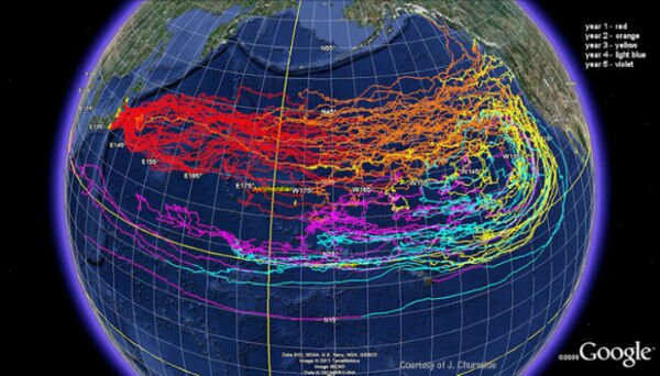 officials-fukushima-has-now-contaminated-13-of-the-worlds-oceans3